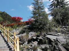 -叠溪松坪沟景区