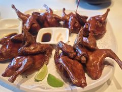 -侨美·唐荔园·40年地道粤菜