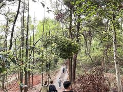 -青龙山国家森林公园