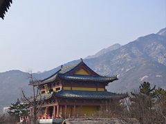 -黄金博物馆
