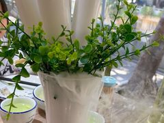 -探窝·竹笙椰子鸡(杨箕店)