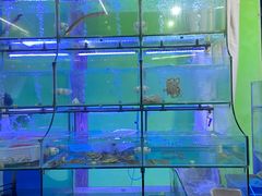 -海月湾海景餐厅( 嵊泗本地老字号店)