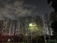 -四海公园(南山区)