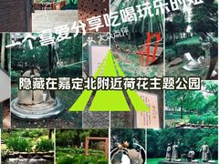 -陈家山荷花公园