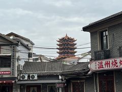 -黄鹤楼公园(黄鹤楼)