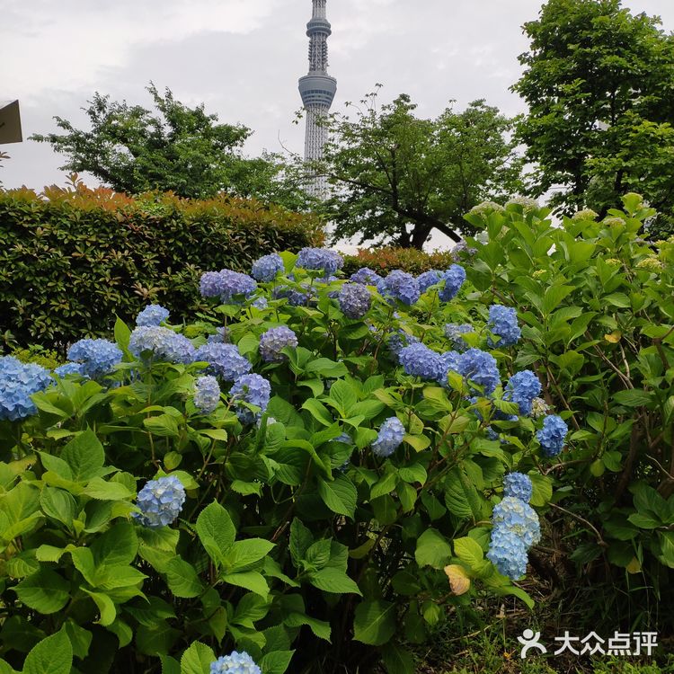 漫步日本东京,史上最不全的新人攻略,第一天我安然无恙。
