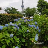 漫步日本东京，史上最不全的新人攻略，第一天我安然无恙。