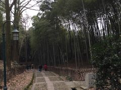 -杭州黄龙洞