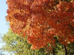 -北京西山国家森林公园