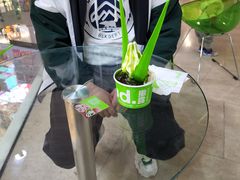 -Salud撒露欧洲冻酸奶(北苑上品店)