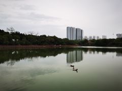 -五缘湾湿地公园