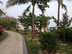 -三亚海棠湾万丽度假酒店