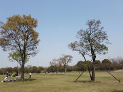 -上海吴淞炮台湾国家湿地公园