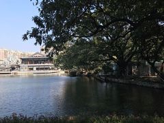 -荔湾湖公园