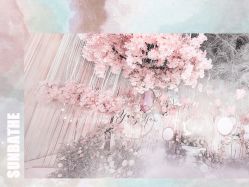 -婚礼美学