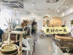 -共舞时光猫咖·狗咖(新街口店)