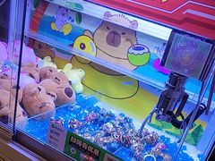 -正佳雨林生态植物园