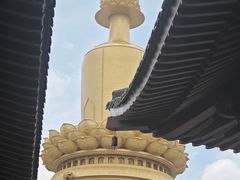 -兴隆文化园景区