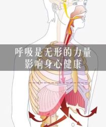 点击看大图 -归位瑜伽&普拉提馆