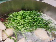 -肥佬大椰子鸡(三里屯3·3大厦店)