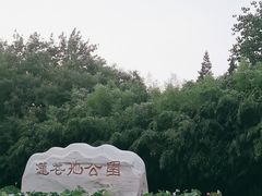 -莲花池公园