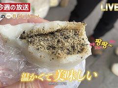 -慈城古县城景区