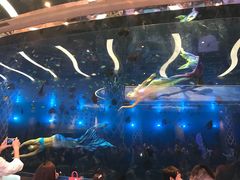 -瑞德姆美人鱼海底演艺主题餐厅(亚龙湾店)
