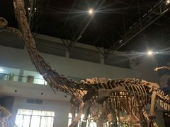 -自贡恐龙博物馆