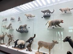 -国家自然博物馆