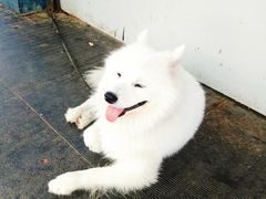 -觅恬记港式甜品(1818店)