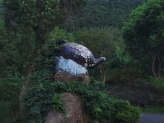 -东海大峡谷