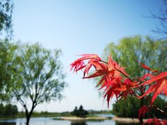 -上海辰山植物园