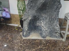 -石饮红星包子(中山路店)
