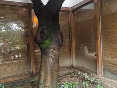 -老茶树骊园生态川菜馆