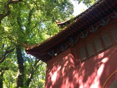 -普陀山风景名胜区-法雨禅寺