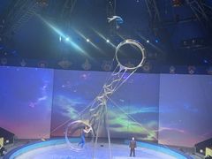 -上海马戏城