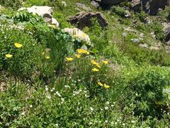 -白草畔自然风景区