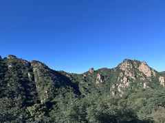 -大岭沟猕猴桃谷风景区