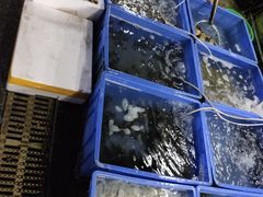 -湛江海鲜餐厅