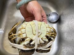 -阳澄湖大闸蟹·琼灵阁牌品牌连锁(吴中总店)