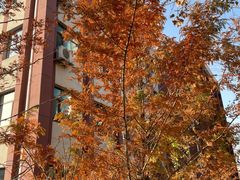 -大连市第二十四中学