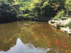iphone_upload_pic-汇龙潭