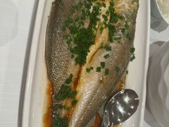 -醉辉皇原味海鲜江南菜(成都大魔方店)