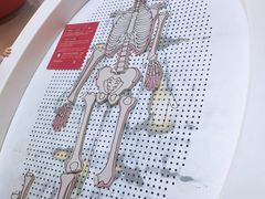-扬州科技馆