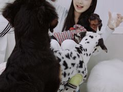 -汪说·狗咖·拼豆·宠物周边DIY(旺城大厦店)