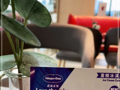 -哈根达斯(绵阳涪城万达店)