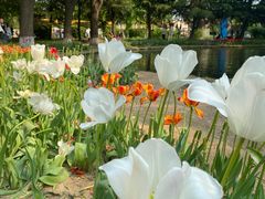 -石家庄市植物园