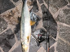 -蓝天路(地铁站)