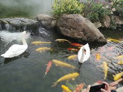 -罗红摄影艺术馆