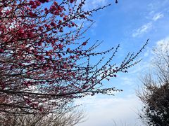 -杭州半山国家森林公园